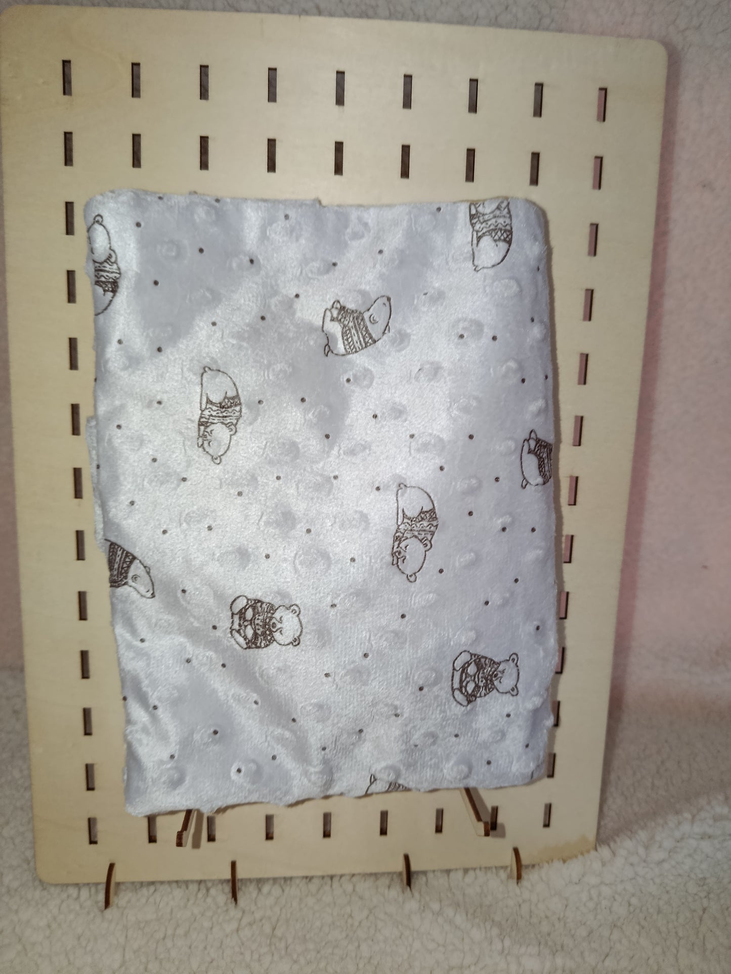 Protège Carnet de Santé